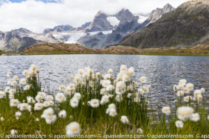 val fontana