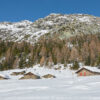 16 febbraio. Valmalenco. Alpe e lago Palù - immagine 6