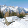 16 febbraio. Valmalenco. Alpe e lago Palù - immagine 2